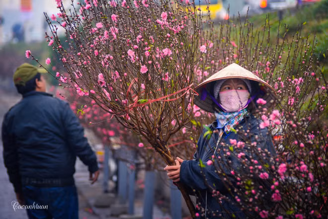 Le marché aux fleurs de Quang Ba, une destination à ne pas manquer à l’occasion du Têt ảnh 1