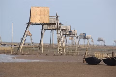 Dông Châu dans mon cœur ảnh 4