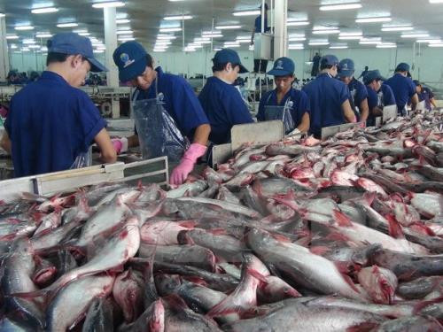Exportation de produits aquatiques : une hausse de 13% prévue au 3e trimestre ảnh 1 Exportation de produits aquatiques : une hausse de 13% prévue au 3e trimestre ảnh 1