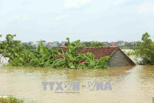 Nord : pluies et crues font 6 morts et 5 disparus ảnh 1 Nord : pluies et crues font 6 morts et 5 disparus ảnh 1