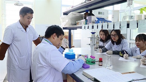 Vietnam-Belgique: Vingt ans de coopération dans la génétique des races d'élevage ảnh 1