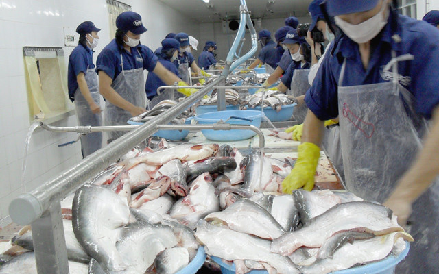 Pangasius: Hausse des exportations nationales à Singapour et au Royaume-Uni ảnh 1