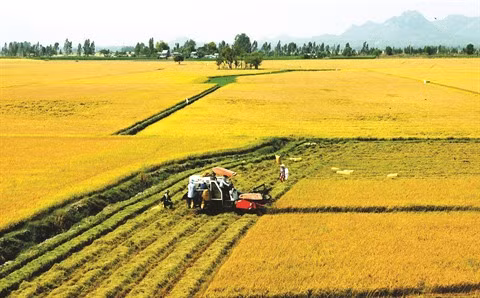 Utiliser efficacement les ressources pour augmenter la croissance ảnh 1