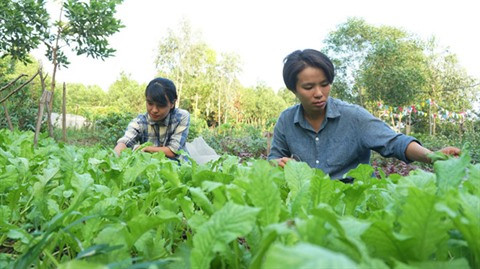 Deux femmes ingénieurs créent leur ferme bio ảnh 1
