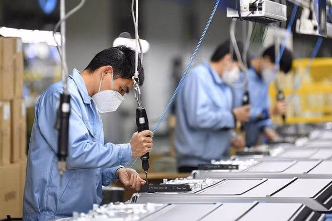  La création d’emplois post-Covid-19 ảnh 1