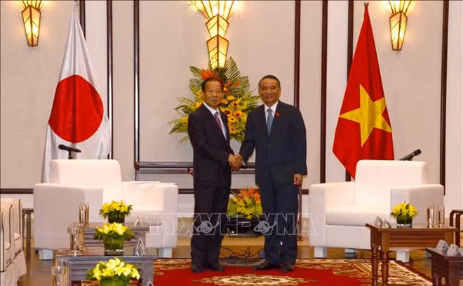 Da Nang souhaite une coopération renforcée avec le Japon dans divers domaines ảnh 1