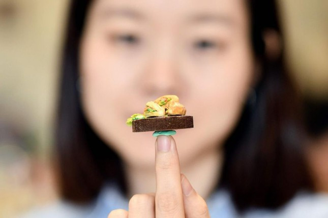 L’AFP salue les plats miniatures d’une jeune Vietnamienne ảnh 1 L’AFP salue les plats miniatures d’une jeune Vietnamienne ảnh 1