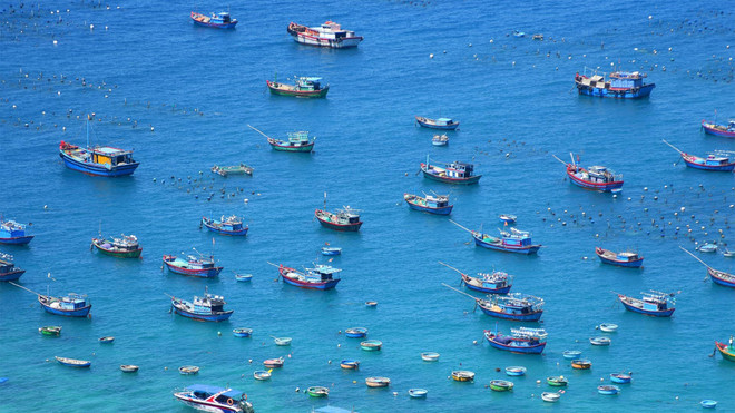 Le Vietnam va dépenser 2.500 milliards de dongs pour une enquête sur l'environnement marin ảnh 1 Le Vietnam va dépenser 2.500 milliards de dongs pour une enquête sur l'environnement marin ảnh 1