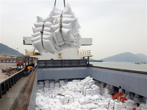 Le PM approuve la reprise des exportations de riz ảnh 1 Le PM approuve la reprise des exportations de riz ảnh 1