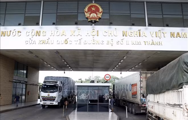 Les exportations de produits agricoles augmentent fortement via le poste frontalier de Lao Cai ảnh 1
