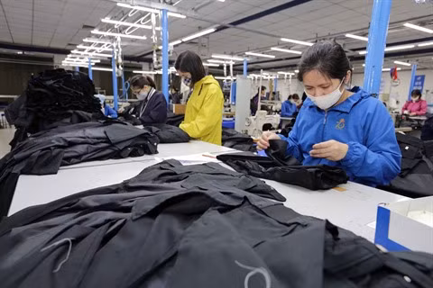 Coronavirus: quel impact sur la croissance du Vietnam ? ảnh 1