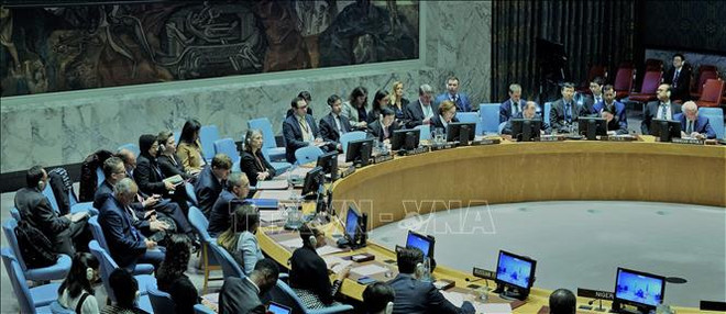 Le Conseil de sécurité de l'ONU discute de la situation du Mali sous la présidence du Vietnam ảnh 1 Le Conseil de sécurité de l'ONU discute de la situation du Mali sous la présidence du Vietnam ảnh 1