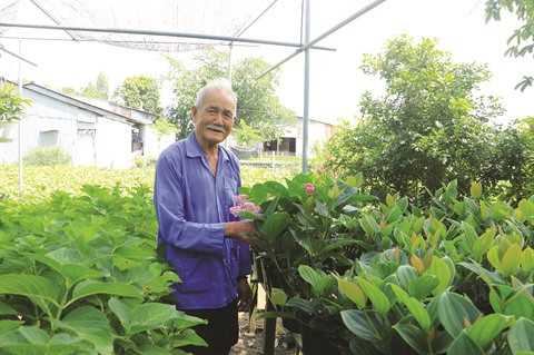 Têt : branle-bas de combat au village de fleurs de Sa Déc ảnh 1 Têt : branle-bas de combat au village de fleurs de Sa Déc ảnh 1
