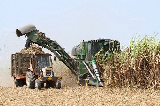 Stimuler les exportations de sucre vers la Chine et l’UE ảnh 1 Stimuler les exportations de sucre vers la Chine et l’UE ảnh 1
