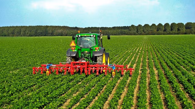  Belles perspectives pour l’agriculture vietnamienne en 2020 ảnh 1