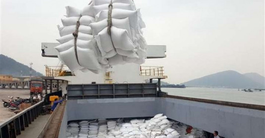 80.000 tonnes de riz vietnamien seront annuellement exportées dans l'UE ảnh 1 80.000 tonnes de riz vietnamien seront annuellement exportées dans l'UE ảnh 1