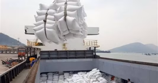 80.000 tonnes de riz vietnamien seront annuellement exportées dans l'UE ảnh 1 80.000 tonnes de riz vietnamien seront annuellement exportées dans l'UE ảnh 1