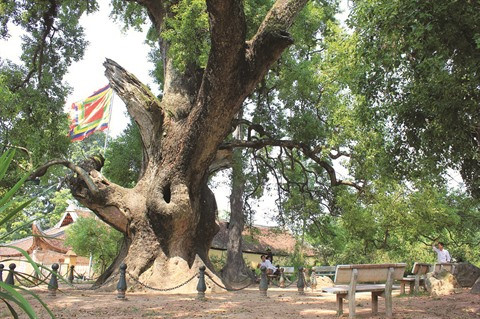 Bac Giang, une destination plurielle ảnh 2 Bac Giang, une destination plurielle ảnh 2