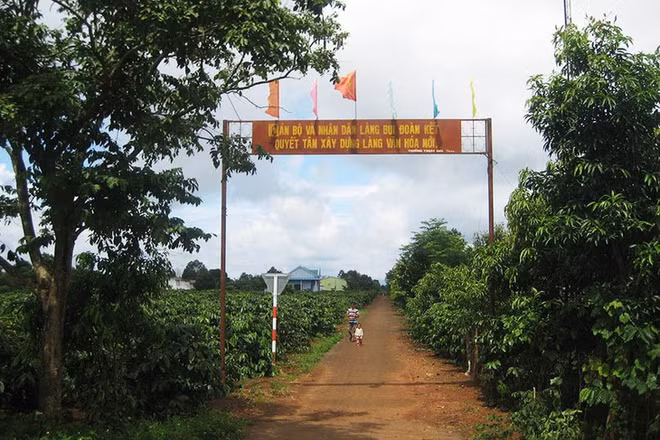 Même sur les Hauts plateaux!... ảnh 1 Même sur les Hauts plateaux!... ảnh 1