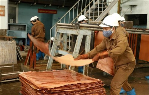 BAD: La croissance économique du Vietnam prévue à 4,8% en 2020 ảnh 1 BAD: La croissance économique du Vietnam prévue à 4,8% en 2020 ảnh 1