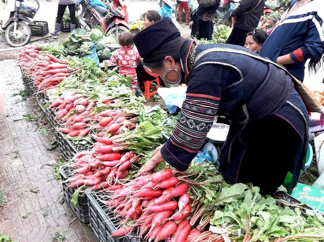 Originalité du marché des radis rouges à Sa Pa ảnh 1 Originalité du marché des radis rouges à Sa Pa ảnh 1
