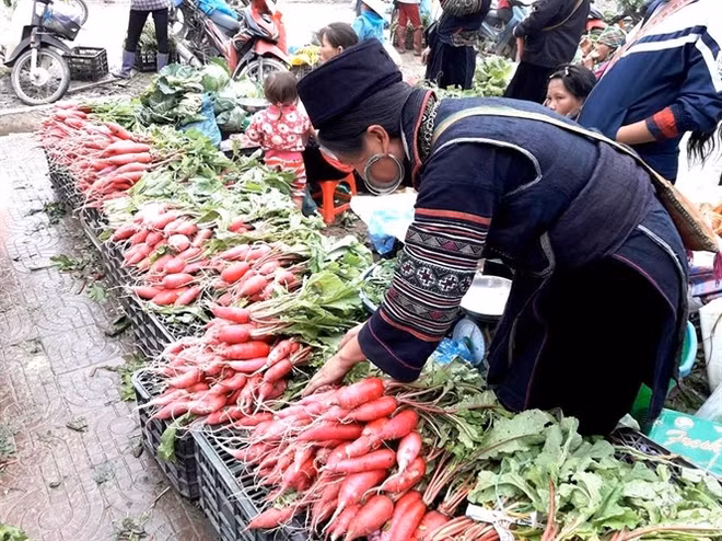 Originalité du marché des radis rouges à Sa Pa ảnh 1