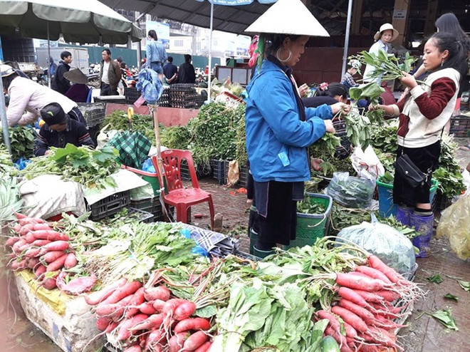 Originalité du marché des radis rouges à Sa Pa ảnh 2 Originalité du marché des radis rouges à Sa Pa ảnh 2