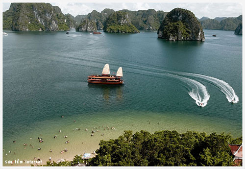 Plan d'aménagement du site du tourisme maritime de Titov ảnh 1