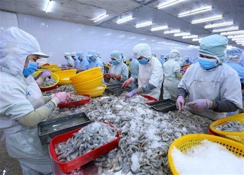 Les exportations vietnamiennes de crevettes bondissent en septembre ảnh 1