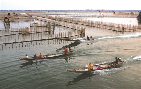 Thua Thiên-Huê : Entre terre et mer, le marais de Chuôn ảnh 1 Thua Thiên-Huê : Entre terre et mer, le marais de Chuôn ảnh 1