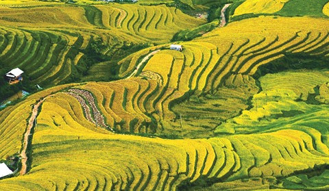 Yên Bái : De mystérieux pétroglyphes découverts à Lao Chai ảnh 2 Yên Bái : De mystérieux pétroglyphes découverts à Lao Chai ảnh 2