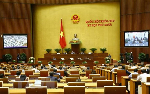 L’AN discute du traitement des violations administratives et des accords internationaux ảnh 1