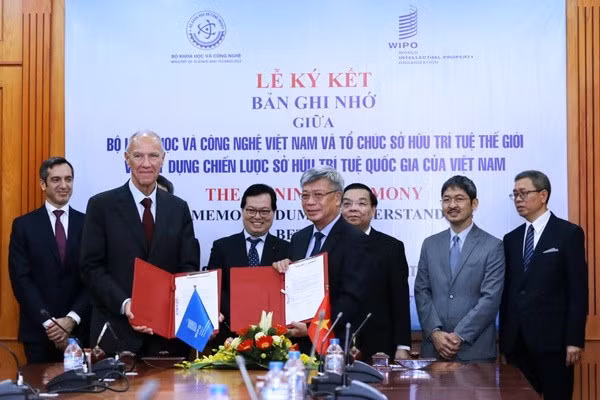 L’OMPI assiste le Vietnam en matière de propriété intellectuelle ảnh 1