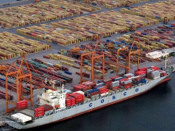 Une nouvelle voie maritime ASEAN-Chine pour le transport de fruits ảnh 1 Une nouvelle voie maritime ASEAN-Chine pour le transport de fruits ảnh 1