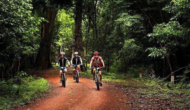 Le Vietnam accueille 2,95 millions de touristes étrangers en onze mois ảnh 1