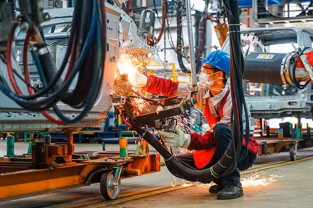 IDE: le Vietnam demeure un point lumineux ảnh 1