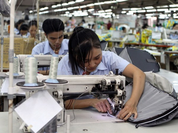 Evénements sur la coopération économique Vietnam-Russie ảnh 1 Evénements sur la coopération économique Vietnam-Russie ảnh 1