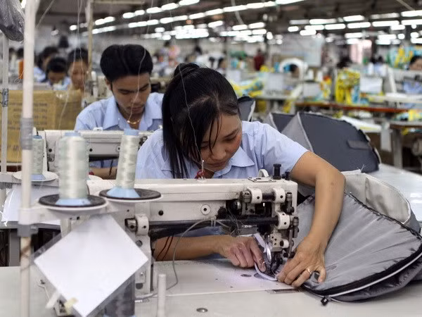 Evénements sur la coopération économique Vietnam-Russie ảnh 1 Evénements sur la coopération économique Vietnam-Russie ảnh 1