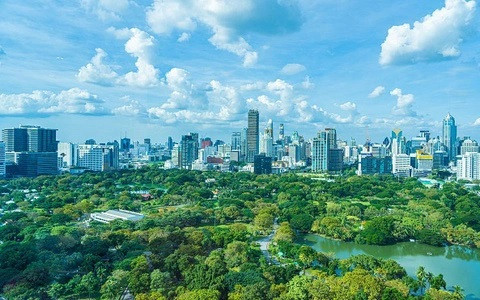 L’industrie du bois dispose d’un énorme potentiel pour augmenter les revenus issus de la vente de crédits carbone ảnh 2 L’industrie du bois dispose d’un énorme potentiel pour augmenter les revenus issus de la vente de crédits carbone ảnh 2