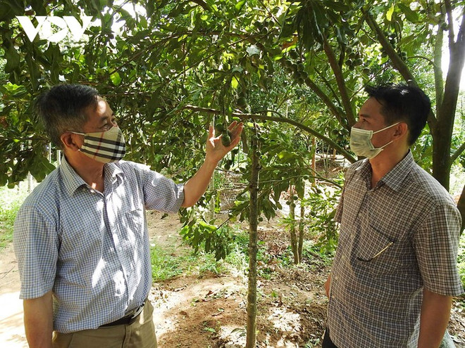 Qu’à cela ne tienne!... ảnh 2