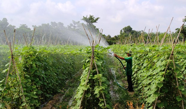 Publication du rapport 2021 sur l'agriculture numérique au Vietnam ảnh 1