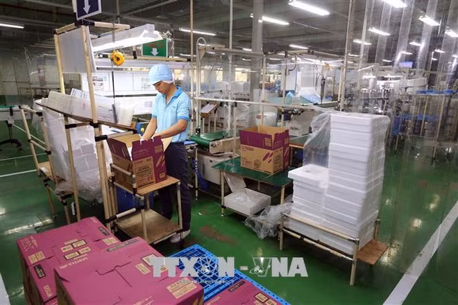 L'attraction d'IDE de Dông Nai dépasse le plan annuel ảnh 2