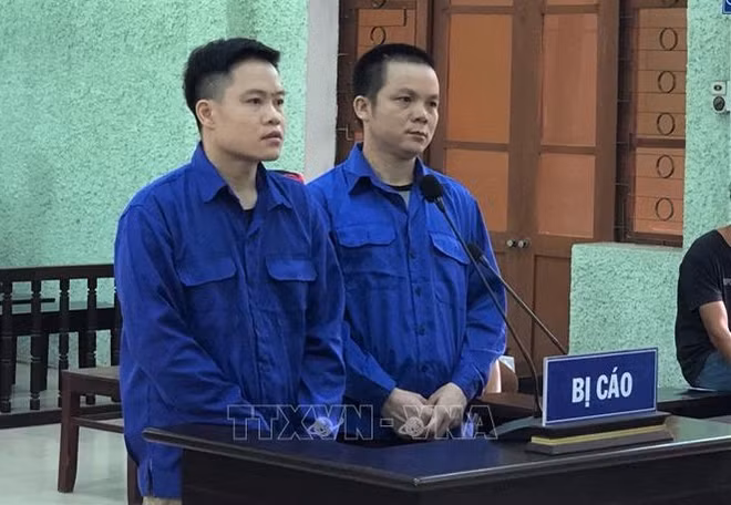 Sanctions des personnes pour l'organisation de sorties illégales du Vietnam ảnh 1