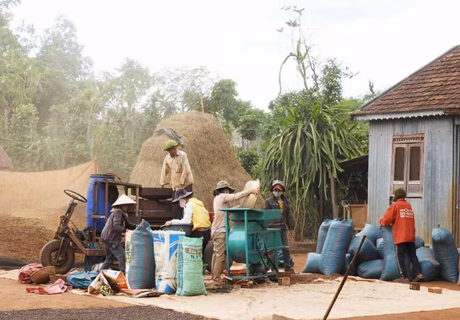 L’ordre règne à Hà Bâu… ảnh 2
