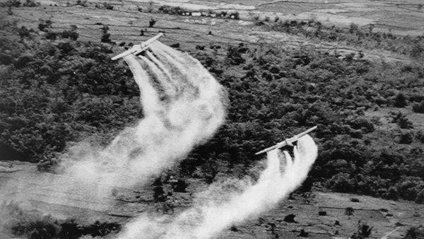 Plus de 500 oeuvres au concours d’écriture sur les séquelles de l’agent orange au Vietnam ảnh 1 Plus de 500 oeuvres au concours d’écriture sur les séquelles de l’agent orange au Vietnam ảnh 1