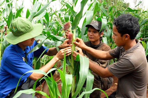Créer sa start-up, le rêve de la jeunesse du Tây Nguyên ảnh 1 Créer sa start-up, le rêve de la jeunesse du Tây Nguyên ảnh 1