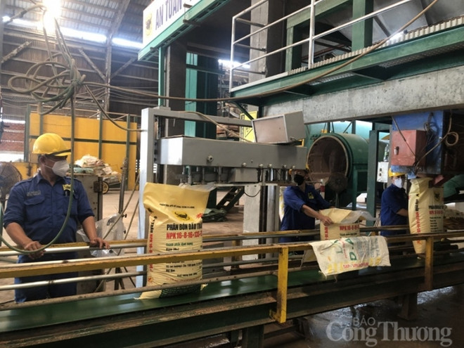 Bond de près de 168% des exportations nationales d'engrais en 8 mois ảnh 1 Bond de près de 168% des exportations nationales d'engrais en 8 mois ảnh 1