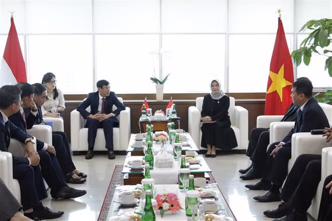 Le Vietnam et l’Indonésie partagent des expériences en matière d’audit ảnh 1 Le Vietnam et l’Indonésie partagent des expériences en matière d’audit ảnh 1