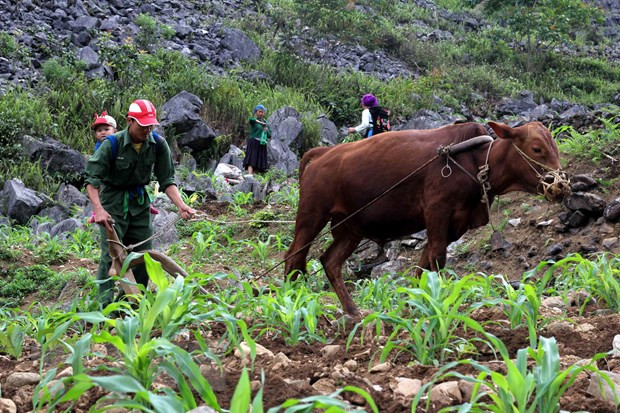 L’éradication de la pauvreté et les progrès du Vietnam ảnh 1 L’éradication de la pauvreté et les progrès du Vietnam ảnh 1