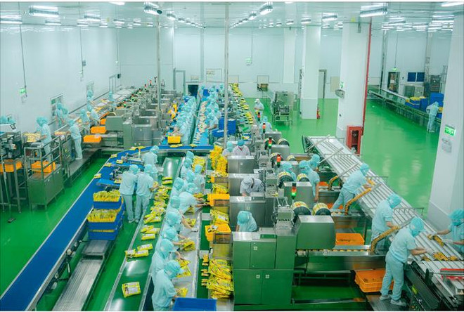 Alimentation: un groupe taïwanais injecte 50 millions de dollars à Tiên Giang ảnh 1